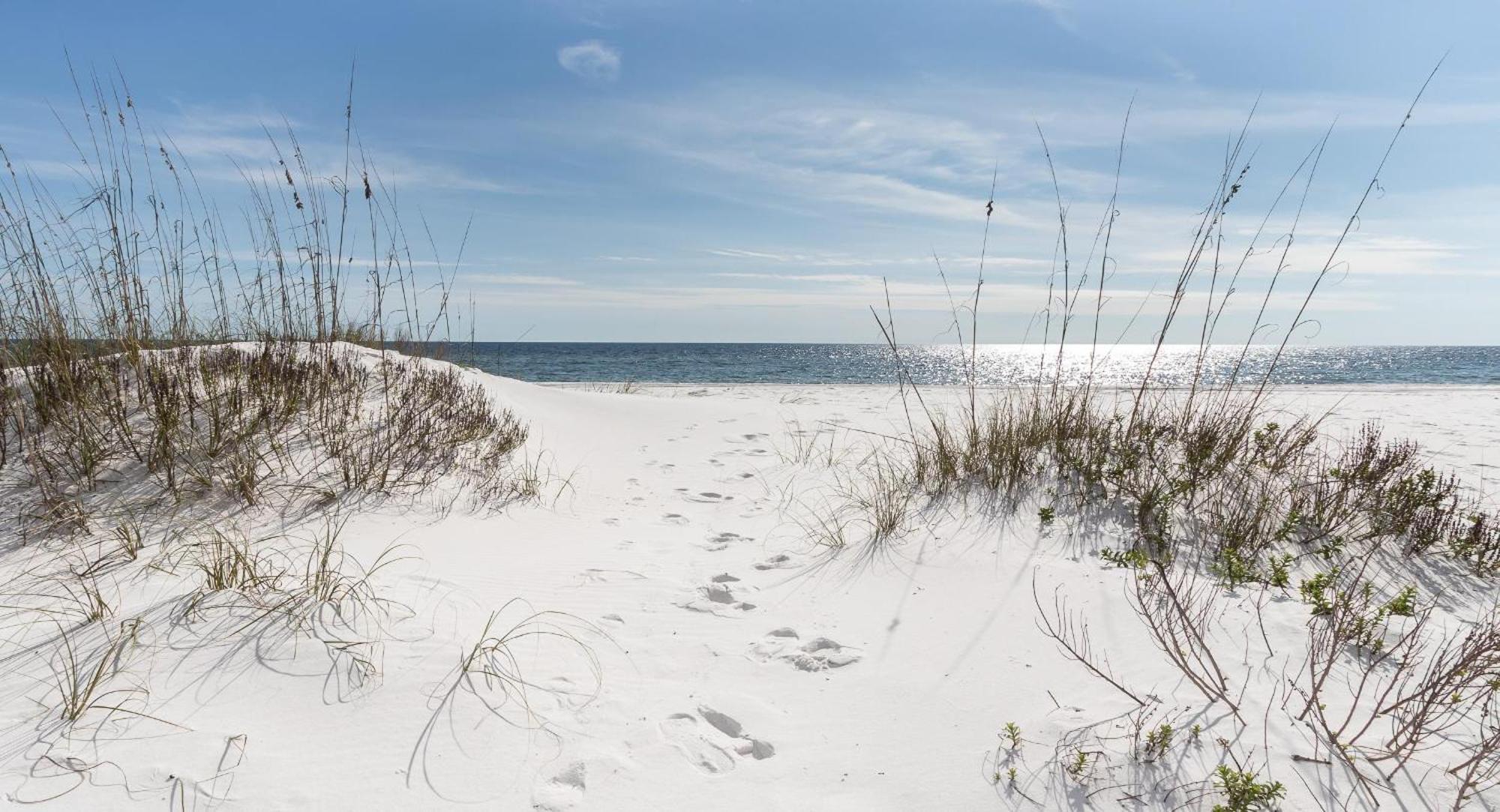 Nautilus 1201 - Gulf Front 2 Bedroom Huge Wrap Around Balcony 2Nd Floor! Fort Walton Beach Exterior foto