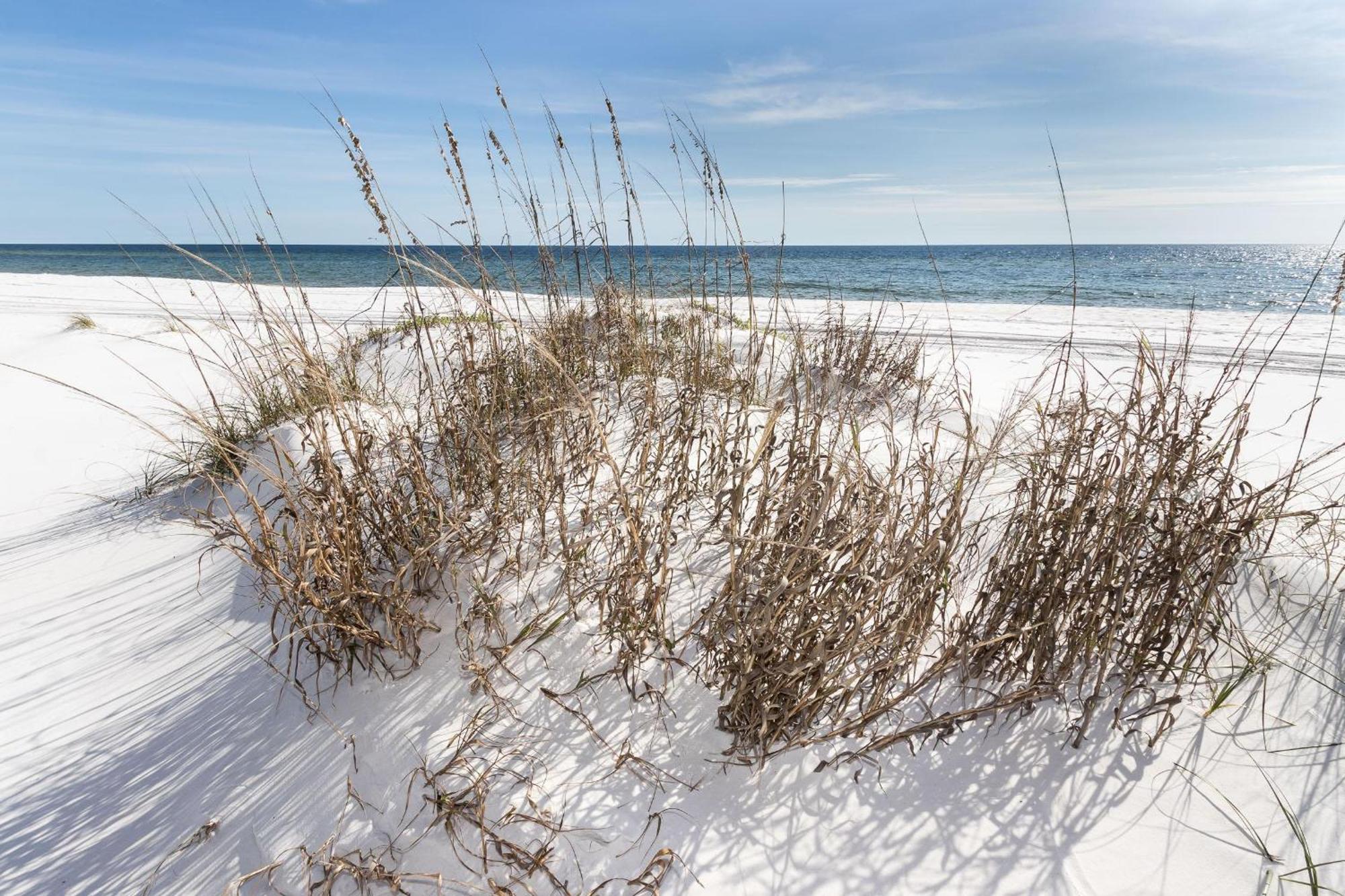 Nautilus 1201 - Gulf Front 2 Bedroom Huge Wrap Around Balcony 2Nd Floor! Fort Walton Beach Exterior foto